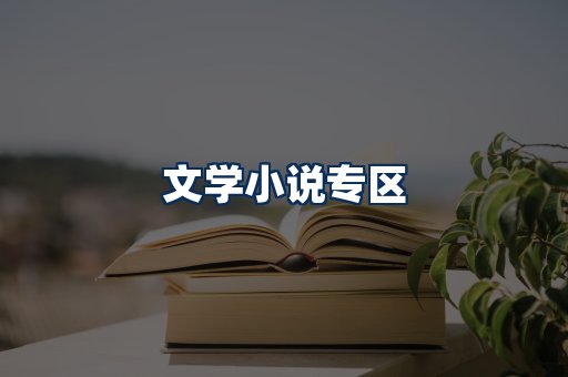 文学小说PDF展示